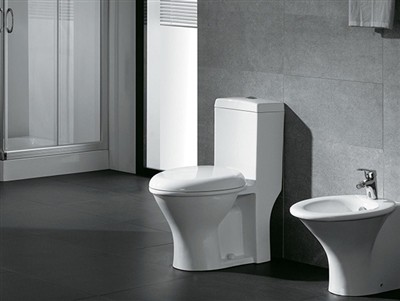 Toilet Seat Rotary Damper Customer Case Study